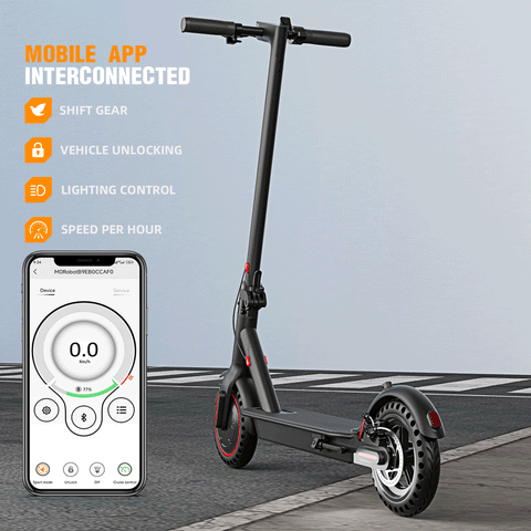Electric scooter – 350W / 500W motor, 8.5-inch / 10-inch solid tires